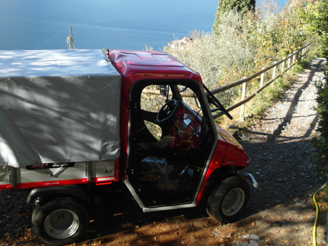 Camioneta electrica para villas en colina